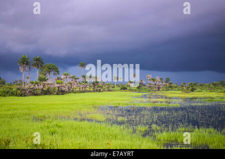Threatening sky during the rainy season in Sierra Leone, West Africa Stock Photo