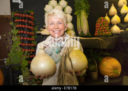 Prize-winning, huge white onions in Harrogate, Yorkshire, UK. Collette Owens with giant onions at the Harrogate Annual Autumn Flower Show, attractions include the giant vegetable competition, is ranked as one of Britain's top three gardening events. Stock Photo