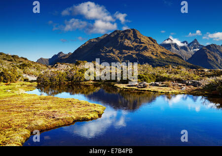 Small lake at the Key Summit, Routeburn track, New Zealand Stock Photo