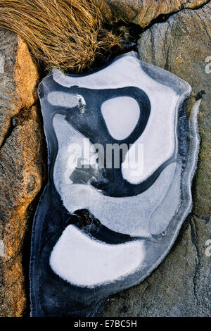 Pattern of white frost on a black boulder Stock Photo