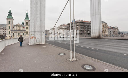 Budapest (Hungary) - A view of the city. The  Erzsébet híd bridge on the Danube river Stock Photo