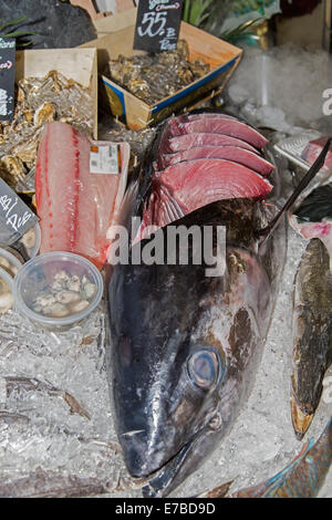 Yellowfin Tuna, also 'Ahi' (Thunnus albacares), cut into pieces at a fish market, Chiang Mai, Chiang Mai Province, Thailand Stock Photo