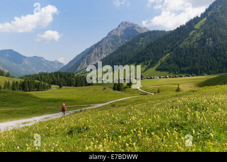 Nenzinger Himmel alpine meadow with Fundelkopf, Gamperdonatal, Nenzing community, Rätikon, Vorarlberg, Austria Stock Photo