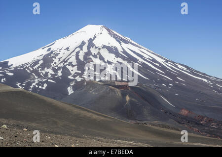 Lonquimay volcano, Lonquimay, Región de la Araucanía, Chile Stock Photo