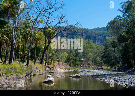 River flowing through the Carnarvon National Park, Queensland, Australia Stock Photo