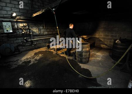 Coopers work on whisky casks at the Speyside Cooperage in Craigellachie, Scotland. Stock Photo