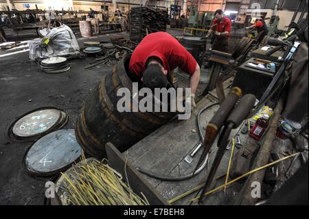 Coopers work on whisky casks at the Speyside Cooperage in Craigellachie, Scotland. Stock Photo