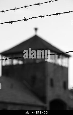 Barbed wire fencing and watch tower at the Auschwitz concentration camp, Auschwitz, Poland - black and white monochrome Stock Photo