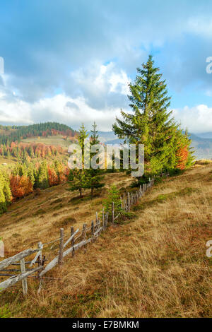 Foggy summer morning in the mountains. Carpathian, Romania Stock Photo