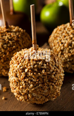 Homemade Taffy Apples with Peanuts on a Stick Stock Photo