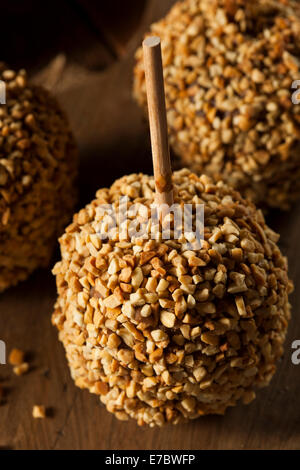 Homemade Taffy Apples with Peanuts on a Stick Stock Photo