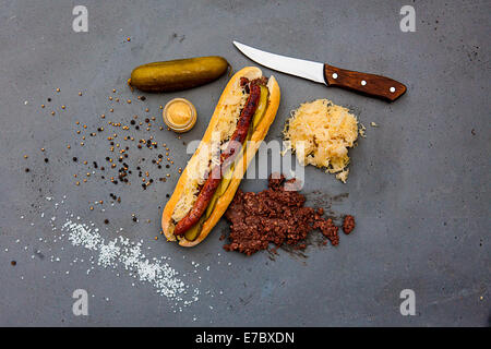 Modern hot dog with lamb sausage, sauerkraut, pickled cucumber, mustard, black sausage, salt, pepper on concrete table