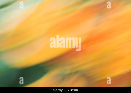 Abstract background in yellow and green colors, photo art Stock Photo