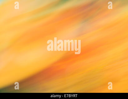 Abstract background in yellow colors, photo art Stock Photo