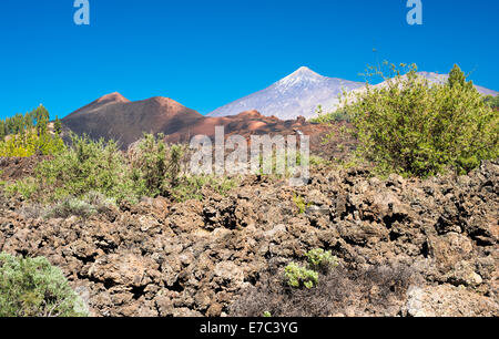 The aa lava flow of the most recent eruption on Tenerife in 1909 from the red Montana de Chinyero with Teide in background Stock Photo