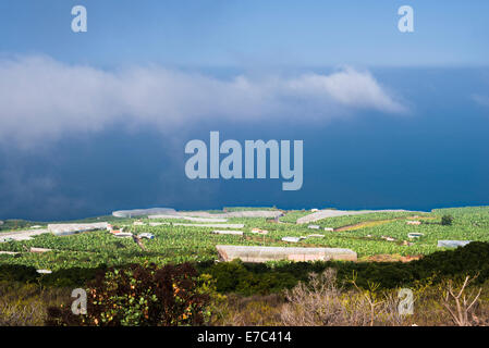 View westwards from the El Time cliff over a large area of banana plantations, both open and covered in western La Palma, Canary Islands, Spain Stock Photo