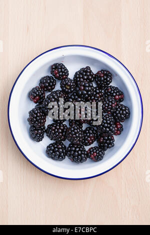 [Rubus fructicosus]. Freshly picked blackberries on an enamel plate. Stock Photo