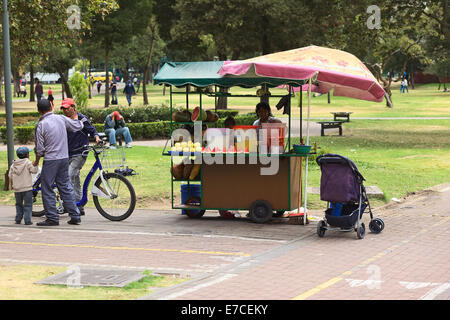 Unidentified woman selling fresh juices and cut fruits at a small cart in the El Ejido Park in Quito, Ecuador Stock Photo