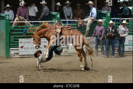 The Rowell Ranch Rodeo, Castro Valley CA Stock Photo