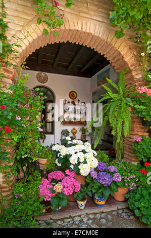 Typical courtyard, Flowerspots, Cordoba, Region of Andalusia, Spain, Europe Stock Photo