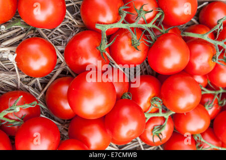 Tomatoes in farmers market. Stock Photo