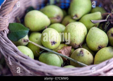 Pears in basket Stock Photo