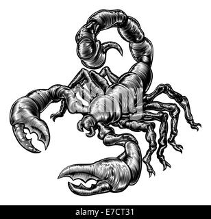 An original illustration of a scorpion in a vintage woodblock style Stock Photo