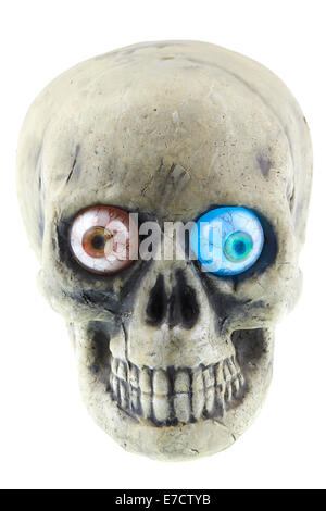 Skeleton Skull Made Out Of Plaster Stock Photo