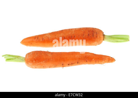 Two Fresh Organic Carrots On A White Background Stock Photo