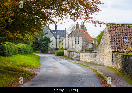 Looking up a narrow tarmac lane road street in the rural Yorkshire village of Nunnington North Yorkshire UK Stock Photo