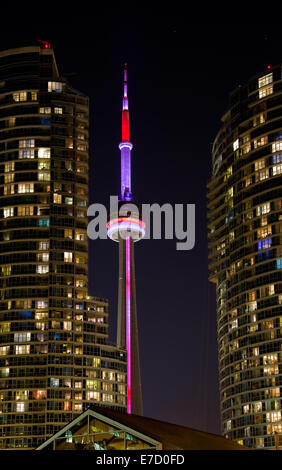CN Tower between two condominiums at night Stock Photo