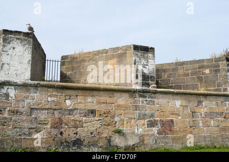 Gun embrasures, Clifford's Fort North Shields, North East, England, UK Stock Photo