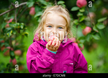 Little girl in the apple garden Stock Photo