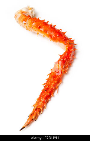 Cooked Peruvian Southern King crab leg (Lithodes Santolla ) isolated on a white studio background. Stock Photo