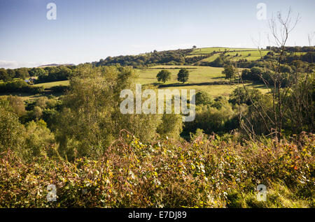 Sunny Summers day in South Wales UK Stock Photo