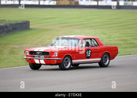 Chichester, West Sussex, UK. 13th Sep, 2014. Pictures from the Goodwood Revival 2014 - The Shelby Cup - A race for saloon cars powered by small-block V8 engines on the 60th anniversary of the small-block V8 engine. A large number of Ford Mustangs mariking the car's 50th anniversary took on other American classics such as Ford Falcon, Plymouth Barracuda, Mercury Comet Cyclone and Dodge Dart. Picture shows: Arne Berg driving a 1965 Ford Mustang Credit:  Oliver Dixon/Alamy Live News Stock Photo