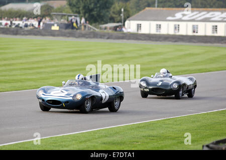Chichester, West Sussex, UK. 13th Sep, 2014. Pictures from the Goodwood Revival 2014 - The Lavant Cup, for Jaguar D-Types to mark the 60th anniversary of one of the most famous machines of that era. Cars included short and long-nosed versions of the D-Type, which won the Le Mans 24 Hours three years running from 1955-57. Picture shows : a 1955 Jaguar D-Type 'long nose' Credit:  Oliver Dixon/Alamy Live News Stock Photo