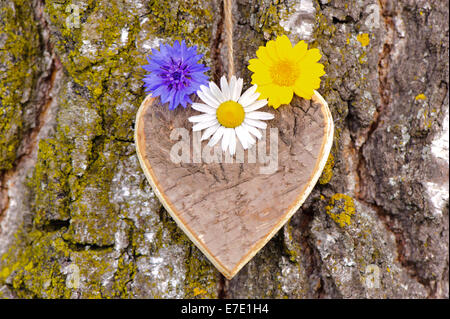 carved wooden heart hanging on bark tree Stock Photo