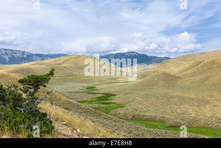 The rugged undulating landscape of bush land at the foothills of the Beartooth mountains in Montana, USA. Stock Photo