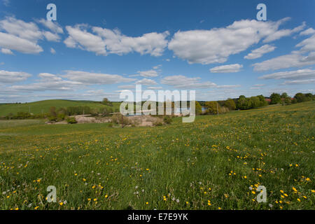 spring meadow at lake mellensee, funkenhagen, boitzenburger land, uckermark, brandenburg, germany Stock Photo