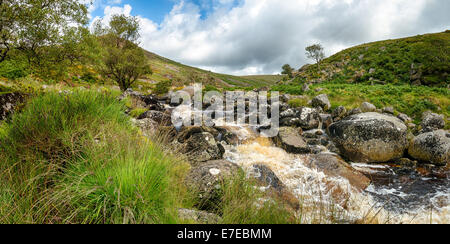 Tavy Cleave a steep sided gorge where the river Tavy flows through Willsworthy on Dartmoor National Park in Devon, looking towar Stock Photo