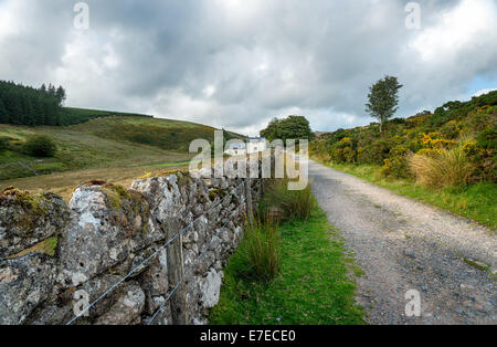 Country lane leading to Wistman's Wood at Two Bridges on Dartmoor National Park in Devon Stock Photo