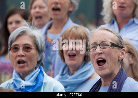 Adults choir, made from choirs from all over the region, perform at The Scoop. Totally Thames Festival, London, UK. Stock Photo