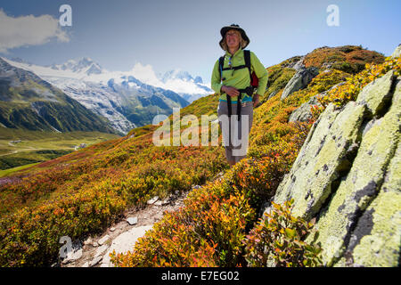 The Mont Blanc range from the Aiguillette des Posettes with Bilberry plants colouring up in late summer. Stock Photo