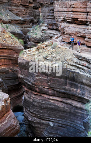 Hikers walk along Deer Creek Narrows in the Grand Canyon outside of Fredonia, Arizona November 2011.  The 21.4-mile loop starts at the Bill Hall trailhead on the North Rim and descends 2000-feet in 2.5-miles through Coconino Sandstone to the level Esplana Stock Photo