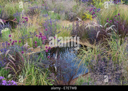 Small English modern gravel garden with water feature pond planting of ornamental grass grasses alliums plants growing flower beds border Summer UK Stock Photo