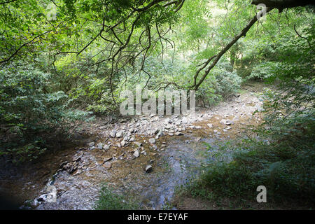 River Heddon Valley Exmoor Devon Stock Photo