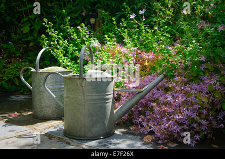 Two vintage metal watering cans in English garden in Devon. Stock Photo