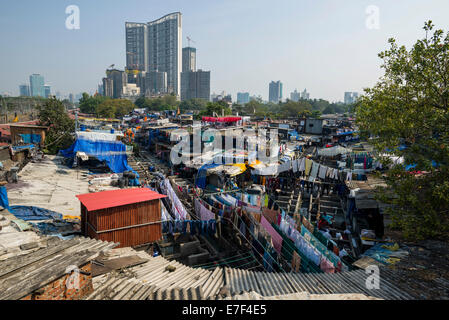 Mahalaxmi Dhobi Ghat, laundry district of Mumbai, Maharashtra, India Stock Photo