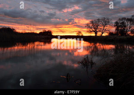 Sunrise over the Leiner See lake in the Middle Elbe Biosphere Reserve, Dessau, Saxony-Anhalt, Germany Stock Photo